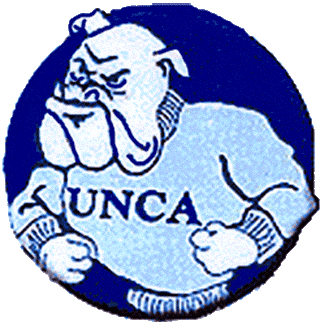 North CarolinaAsheville Bulldogs 1989-1997 Primary Logo iron on paper